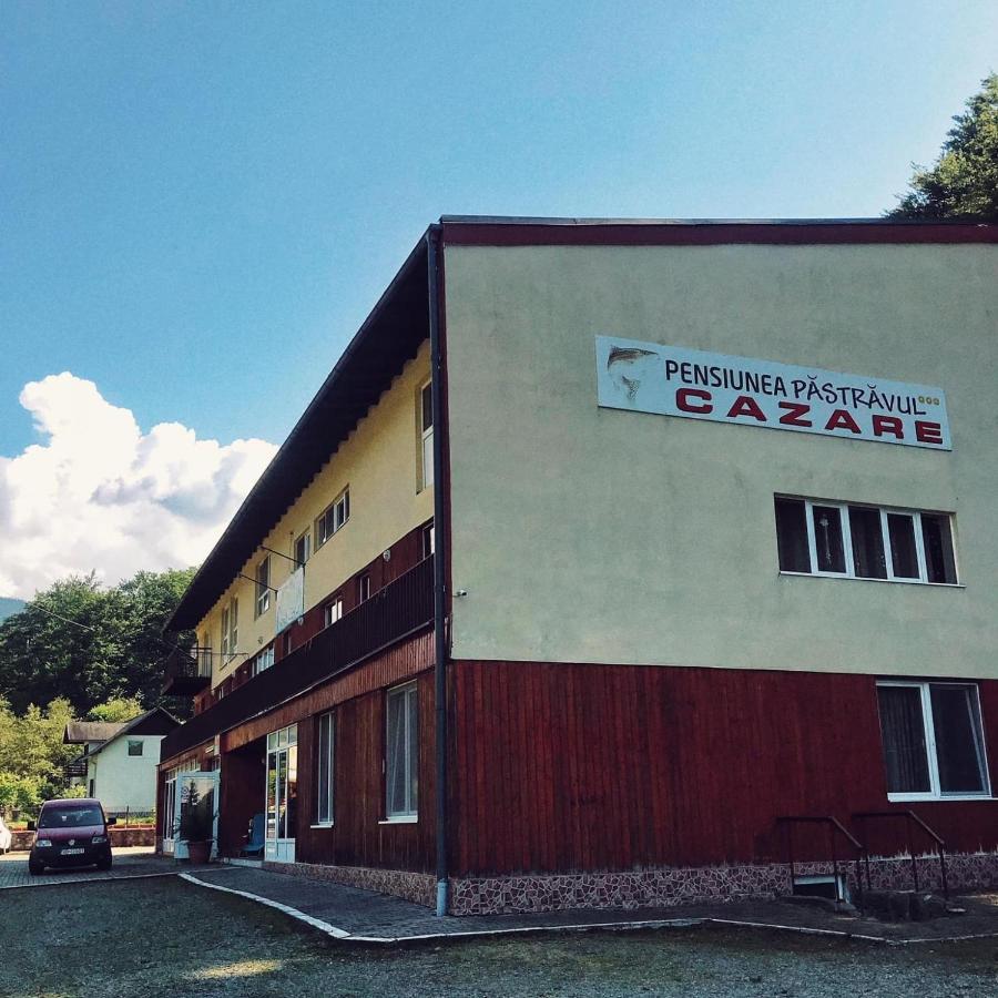 Maison d'hôtes Pensiunea Pastravul